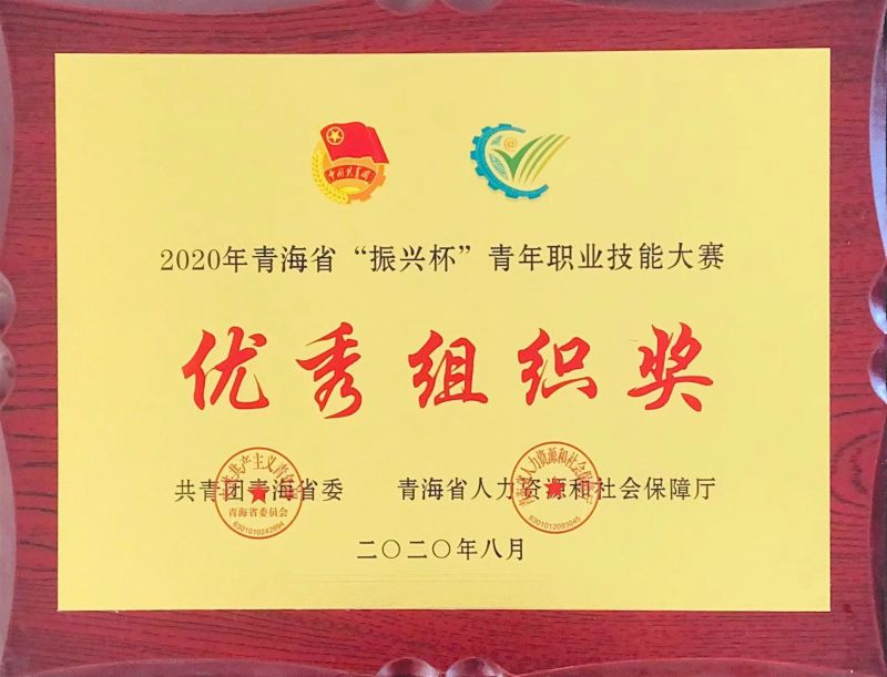 2020年8月青海省“振興杯”青年職業(yè)技能大賽優(yōu)秀組織獎(jiǎng)